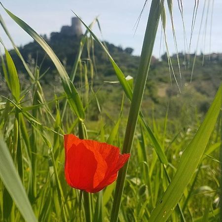 Apartament La Casina Di Nonna Giulia Castiglione dʼOrcia Zewnętrze zdjęcie