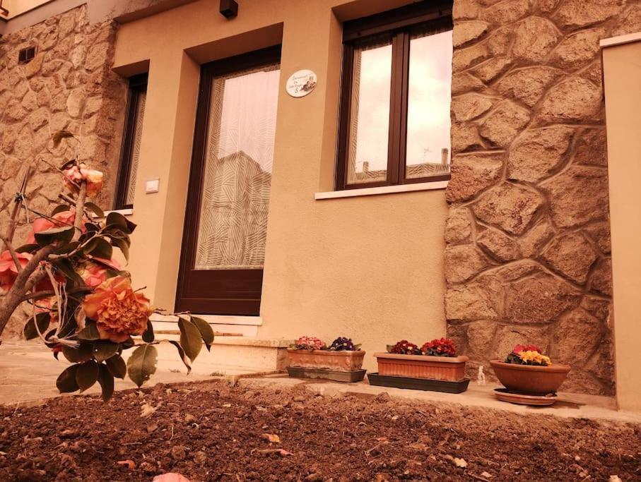 Apartament La Casina Di Nonna Giulia Castiglione dʼOrcia Zewnętrze zdjęcie