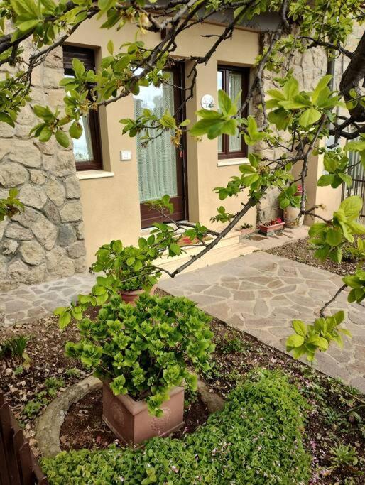 Apartament La Casina Di Nonna Giulia Castiglione dʼOrcia Zewnętrze zdjęcie