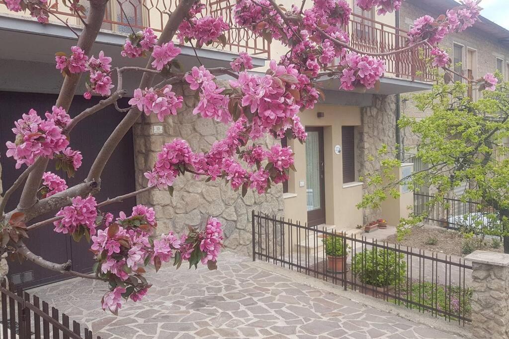 Apartament La Casina Di Nonna Giulia Castiglione dʼOrcia Zewnętrze zdjęcie